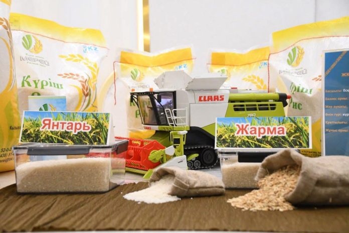 577866098_700698409753424_6328034373094184733_n