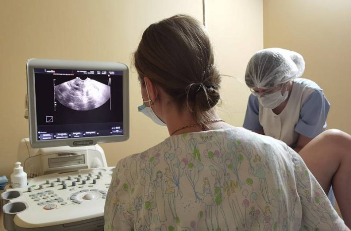 zdmetm7fy4uvm4lz3f1ewvomvawiva2l