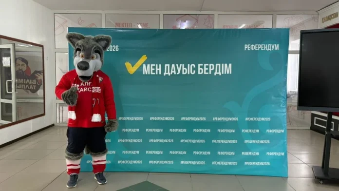 Көк бөрі №260 учаскеде!