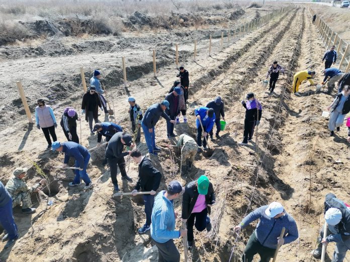 662739217_2052248668671348_7369628830351309572_n